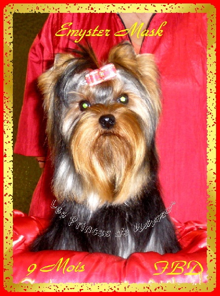 Emyster mask Du puits des sortileges