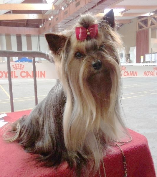 In blue Du puits des sortileges