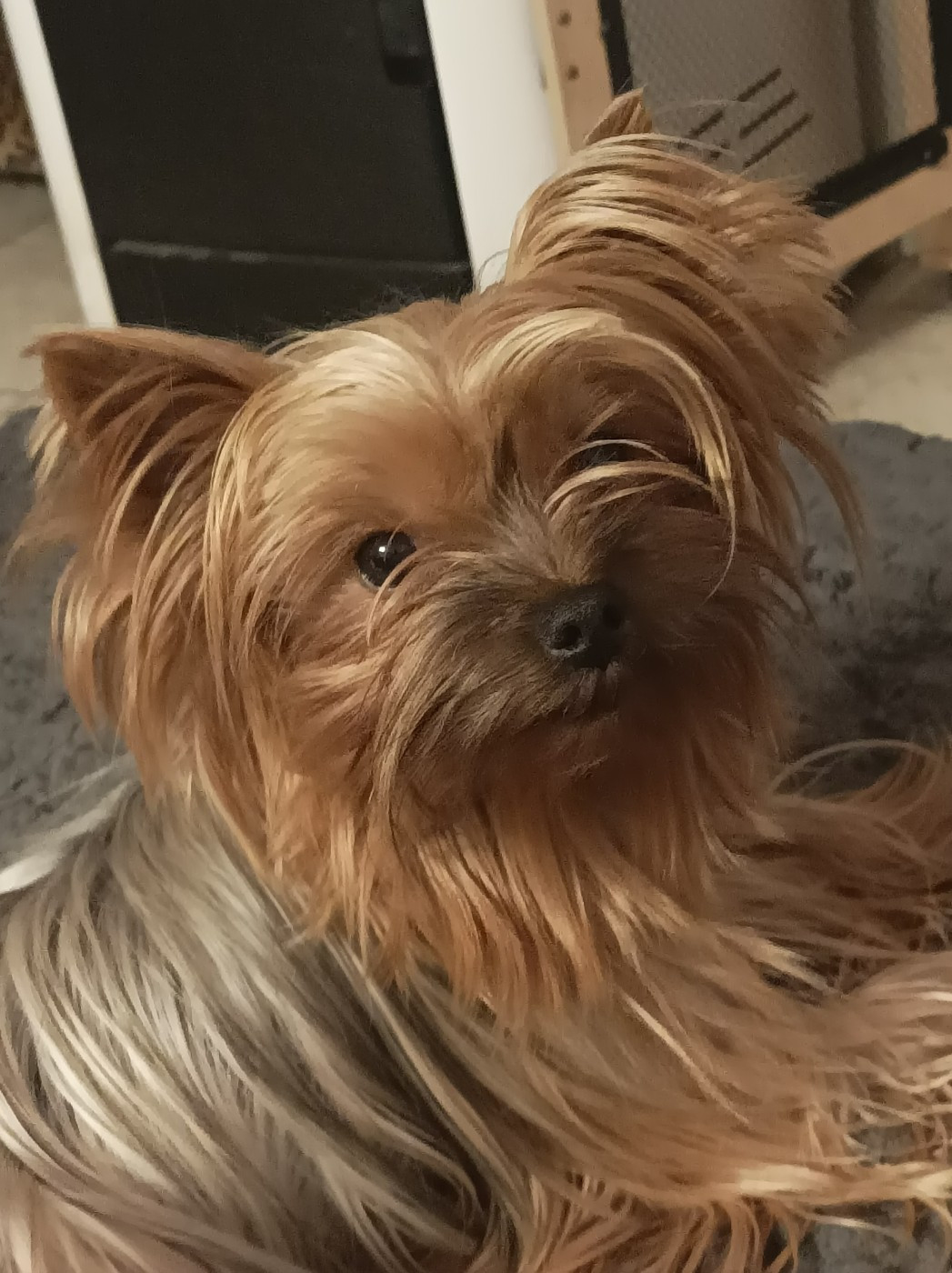 Une dame de coeur Du puits des sortileges