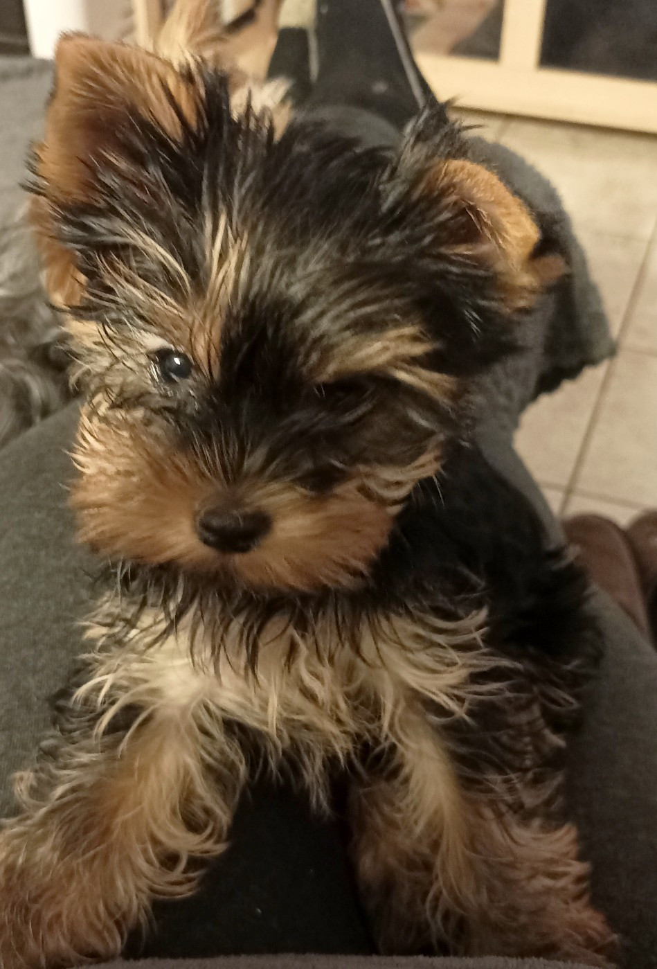 Atomic beauty Du puits des sortileges