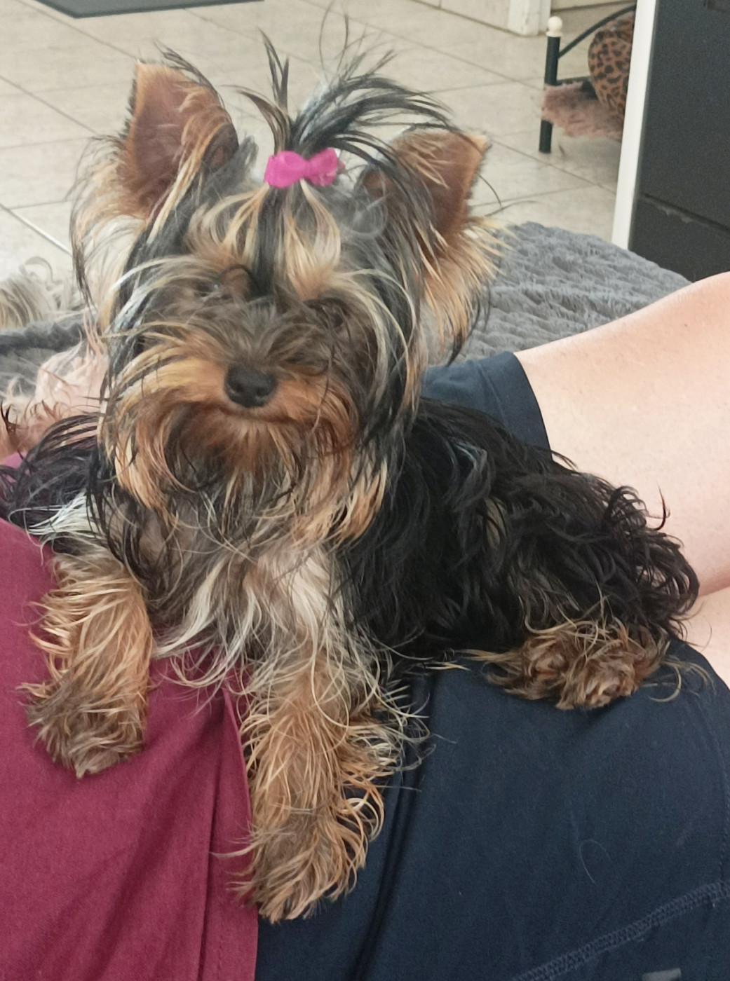 Atomic beauty Du puits des sortileges