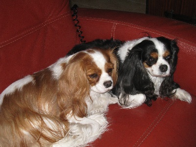 Du puits des sortileges - Garance et A pretty girl !