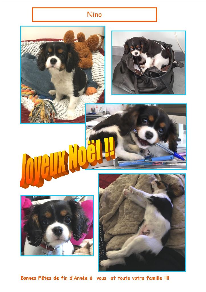 Du puits des sortileges - Nino !