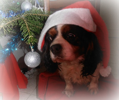 Du puits des sortileges - joyeux noel !