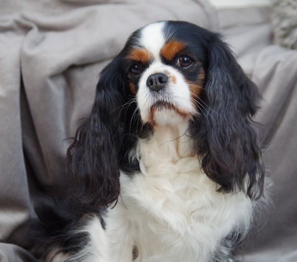 Du puits des sortileges - Euxdoxie 8 ans !