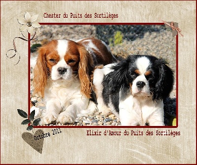 Du puits des sortileges - Le duo du Puits des Sortilèges !