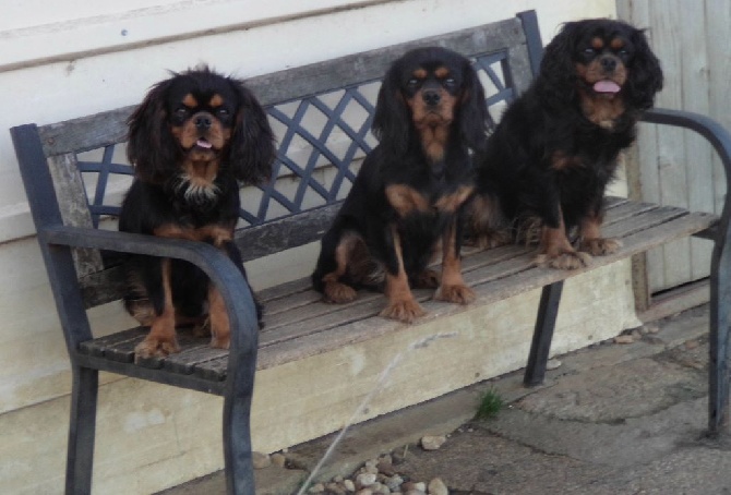 Du puits des sortileges - Trois cavaliers assis sur un banc...