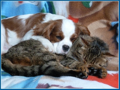 Du puits des sortileges - Pause tendresse !