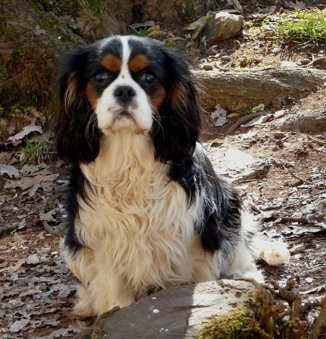 Du puits des sortileges - Myster Jekyll !!