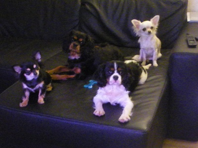 Du puits des sortileges - Photo de famille !!