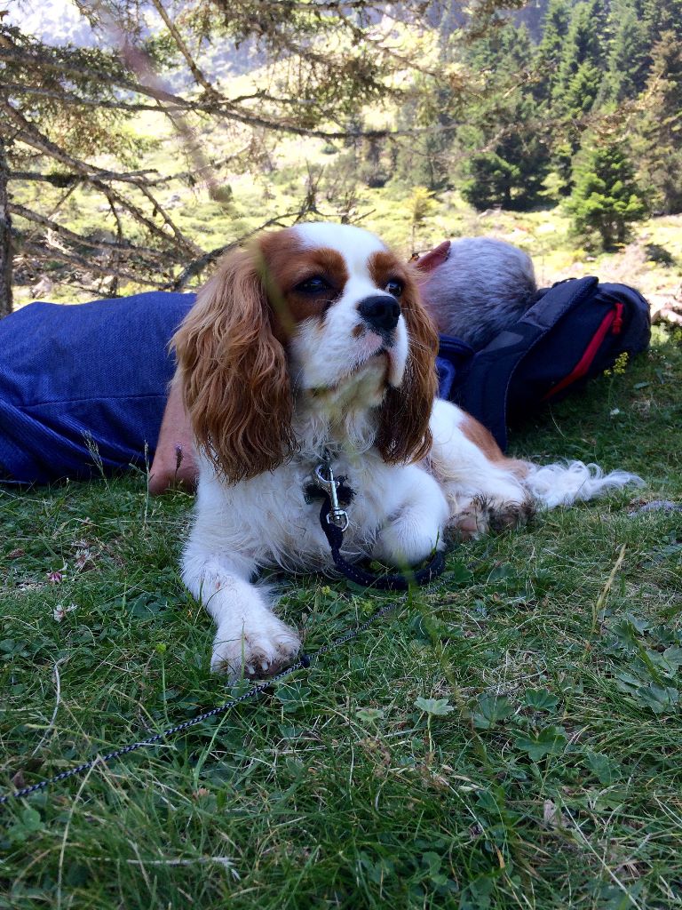 Du puits des sortileges - Malko en vacances !