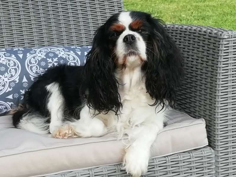 Du puits des sortileges - Eudoxie fait sa star !
