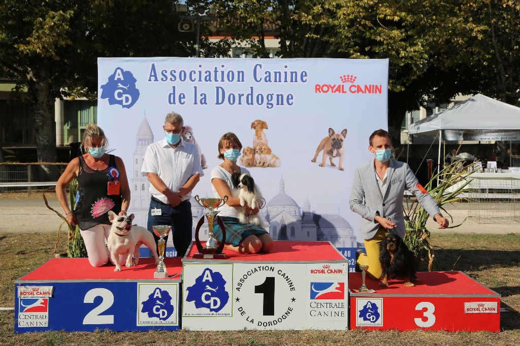 Du puits des sortileges - Résultats exposition canine de Sorges