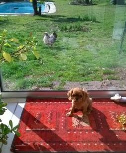 Du puits des sortileges - Mely