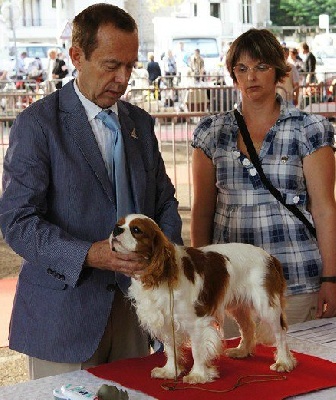 Du puits des sortileges - Résultats exposition de Brive !
