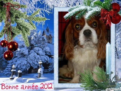 Du puits des sortileges - Joyeuses fêtes de fin d'année !
